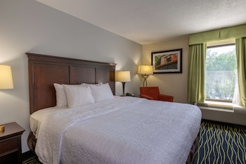 Room, 1 King Bed with Sofa bed (Large Room, Shower Only)