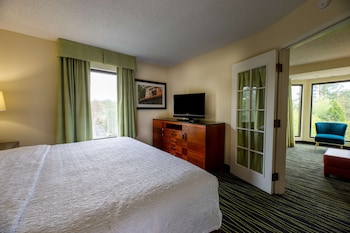 Suite, 1 King Bed, Refrigerator & Microwave, Lake View