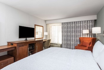 Room, 1 King Bed, Accessible (Roll-In Shower)