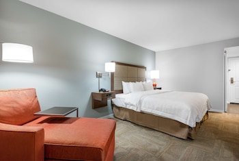 Room, 1 King Bed, Non Smoking (Walk-in Shower)
