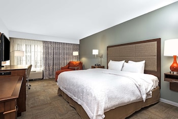 Room, 1 King Bed, Non Smoking (Walk-in Shower)