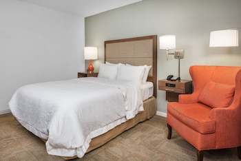 Room, 1 Queen Bed, Non Smoking (Walk-in Shower)