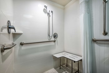 Room, 1 King Bed, Accessible (Roll-In Shower)