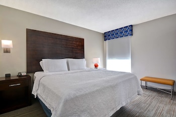 Suite, 1 King Bed, Non Smoking