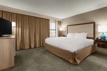 Suite, 1 Bedroom, Non Smoking (1 King Bed)