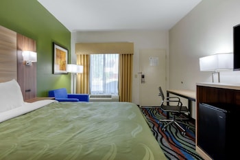 Standard Room, 1 King Bed with Sofa bed, Non Smoking (1 Person Sofa Bed)
