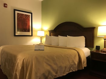 Standard Room, 1 King Bed with Sofa bed, Non Smoking (1 Person Sofa Bed)
