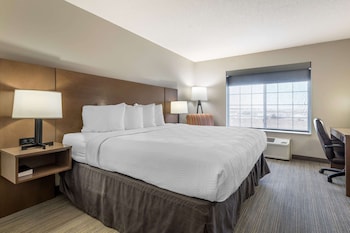 Room, 1 King Bed, Non Smoking