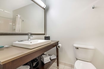 Suite, 1 Bedroom, Non Smoking
