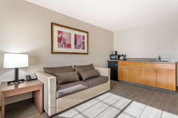 Suite, 1 Bedroom, Non Smoking