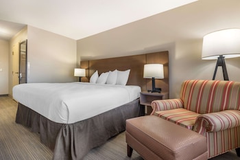 Room, 1 King Bed, Non Smoking