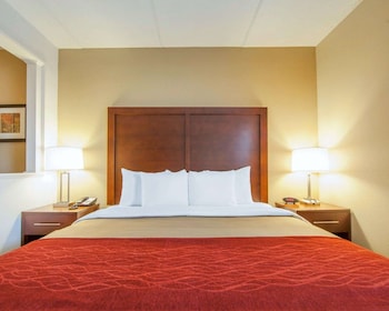 Suite, 1 King Bed with Sofa bed, Non Smoking