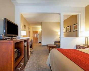Suite, 1 King Bed with Sofa bed, Non Smoking