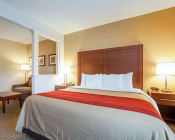Suite, 1 King Bed with Sofa bed, Non Smoking
