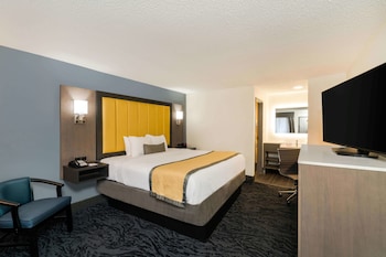 Room, 1 King Bed, Non Smoking