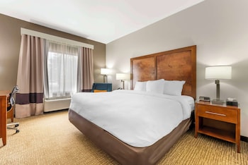 Room, 1 King Bed, Accessible, Non Smoking