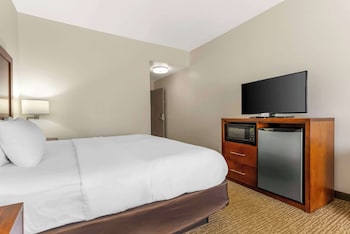 Standard Room, 1 King Bed, Non Smoking