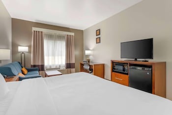1 King Bed, Suite, Nonsmoking