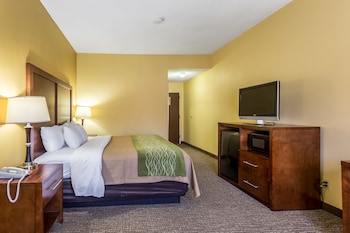 Standard Room, 1 King Bed, Non Smoking