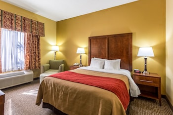 Room, 1 Queen Bed, Accessible, Non Smoking