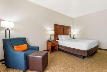 Standard Room, 1 King Bed, Non Smoking