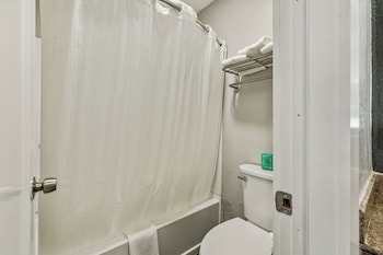 Room, 1 King Bed