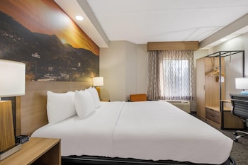 Standard Room, 1 King Bed, Non Smoking