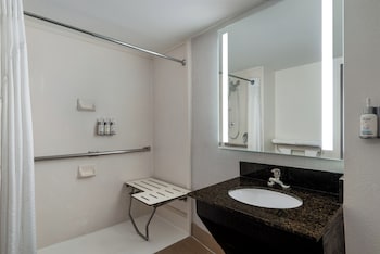 Standard Room, 1 King Bed, Roll-in Shower (Roll-In Shower)