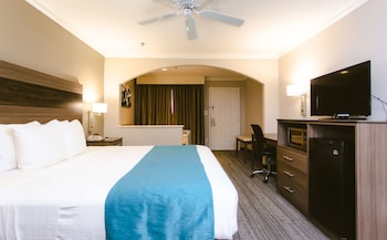 Deluxe Room, 1 King Bed, Non Smoking, Refrigerator & Microwave