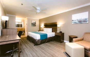 Standard Room, 1 King Bed, Smoking, Refrigerator & Microwave
