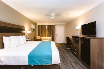 Standard Room, 1 King Bed, Smoking, Refrigerator & Microwave