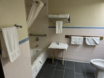 Room, 1 King Bed, Accessible, Non Smoking