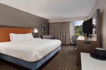 Room, 1 King Bed, Non Smoking