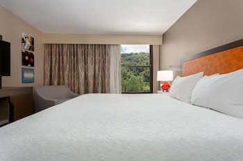 Suite, 1 Bedroom, Non Smoking