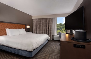 Room, 1 Double Bed, Accessible (Roll-In Shower)