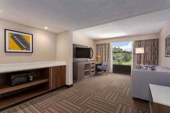 Suite, 1 Bedroom, Non Smoking