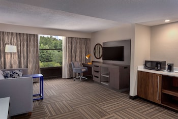 Suite, 1 Bedroom, Non Smoking