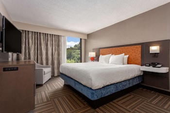 Suite, 1 Bedroom, Non Smoking
