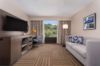 Suite, 1 Bedroom, Non Smoking