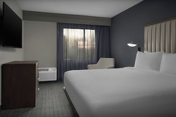 Suite, 1 Bedroom