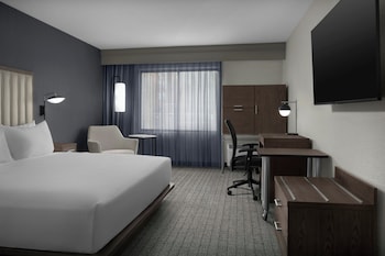 Room, 1 King Bed with Sofa bed, Hearing Accessible (Accessible Bathtub)