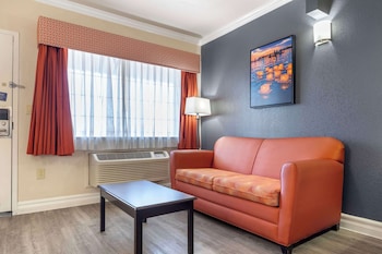 Executive Room, 1 King Bed, Non Smoking, Refrigerator & Microwave