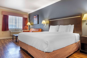Standard Room, 1 King Bed, Accessible, Ground Floor