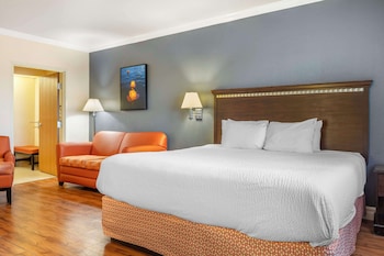 Standard Room, 1 King Bed, Accessible, Bathtub