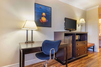 Standard Room, 1 King Bed, Non Smoking, Refrigerator & Microwave