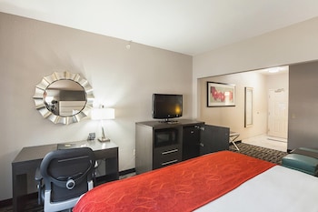 Standard Room, 1 King Bed, Non Smoking