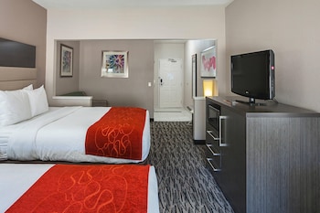 Suite, Multiple Beds, Accessible, Non Smoking