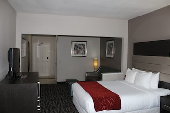 Standard Room, 1 King Bed, Non Smoking