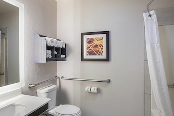 Suite, 1 King Bed with Sofa bed, Accessible, Non Smoking
