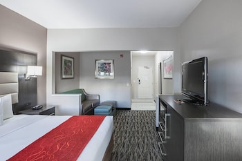 Suite, 1 King Bed with Sofa bed, Non Smoking